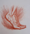 Michael Hensley Drawings, Human Feet 2